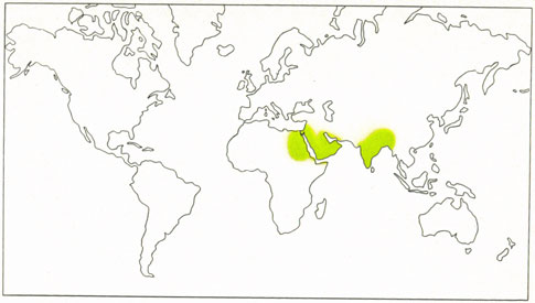 Phytotherapeutische Welt - 1983