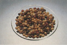 Phytotherapeutische Welt - 1983