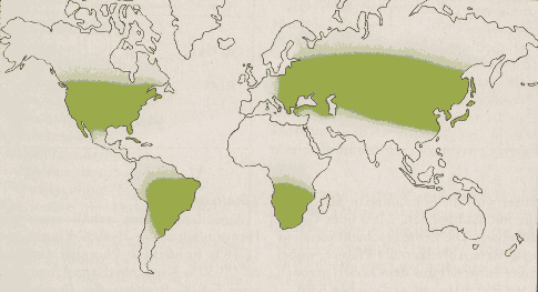 Phytotherapeutische Welt - 1983