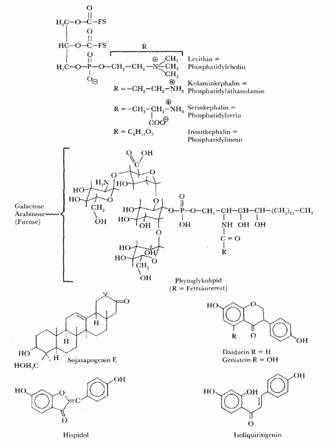 Phytotherapeutische Welt - 1983
