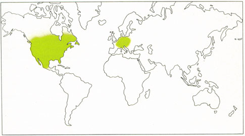 Phytotherapeutische Welt - 1983
