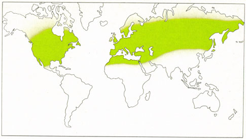 Phytotherapeutische Welt - 1983
