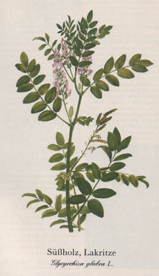 Phytotherapeutische Welt - 1983