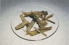 Phytotherapeutische Welt - 1983