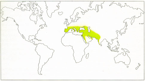 Phytotherapeutische Welt - 1983