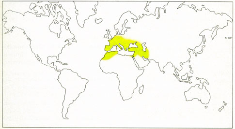 Phytotherapeutische Welt - 1983