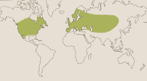 Phytotherapeutische Welt - 1983