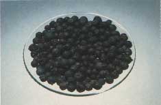Phytotherapeutische Welt - 1983