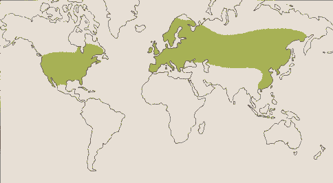Phytotherapeutische Welt - 1983