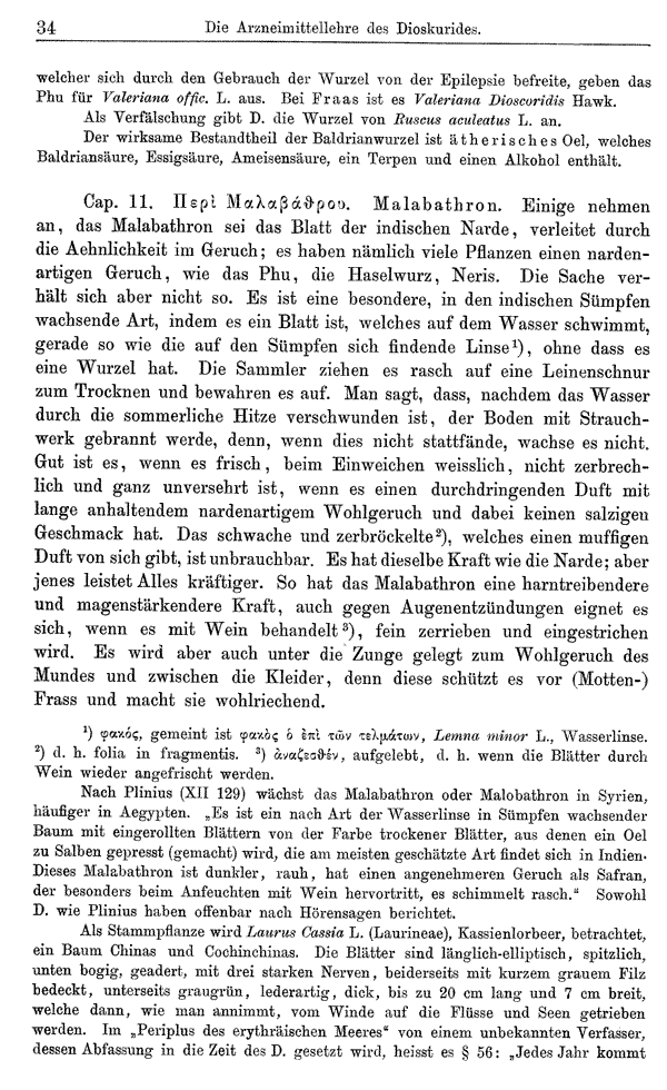 Heilpflanzen-Welt -- Die Welt der Heilpflanzen!