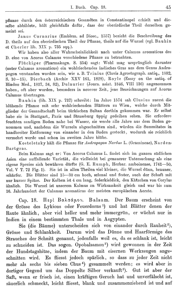 Heilpflanzen-Welt -- Die Welt der Heilpflanzen!