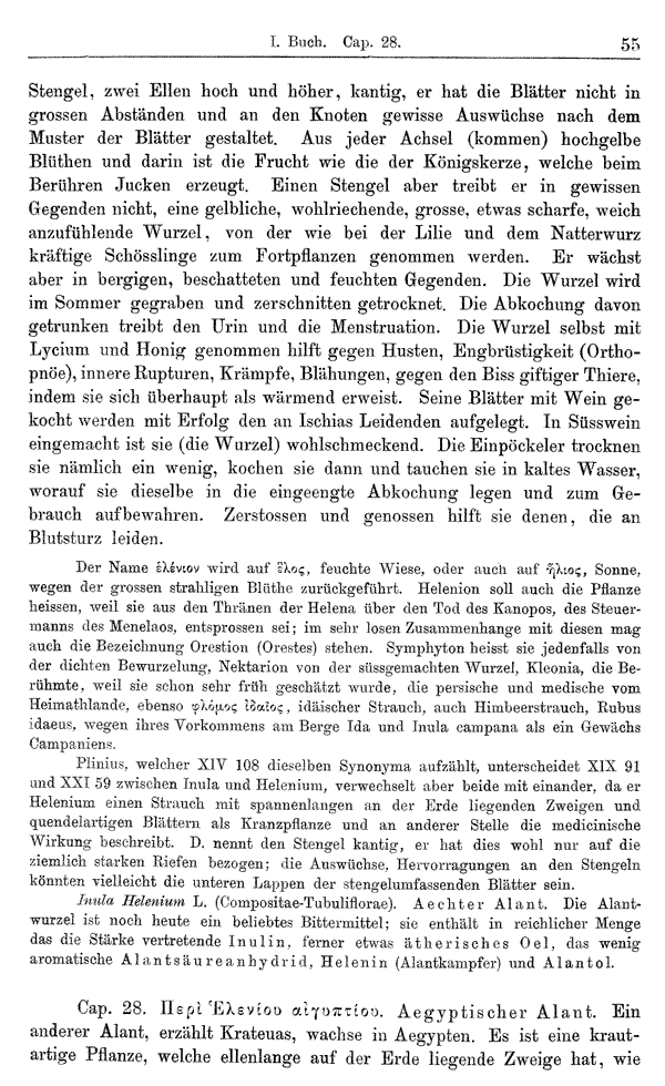 Heilpflanzen-Welt -- Die Welt der Heilpflanzen!
