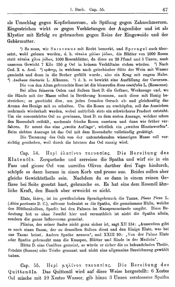 Heilpflanzen-Welt -- Die Welt der Heilpflanzen!