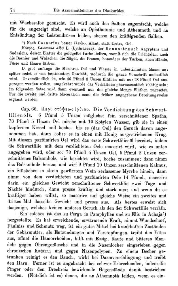 Heilpflanzen-Welt -- Die Welt der Heilpflanzen!