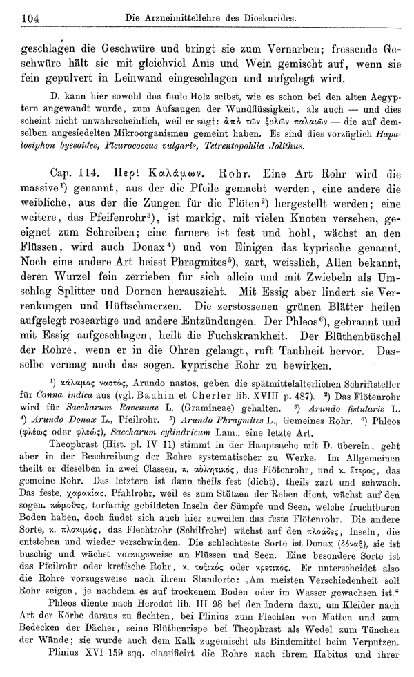 Heilpflanzen-Welt -- Die Welt der Heilpflanzen!