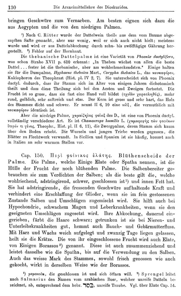Heilpflanzen-Welt -- Die Welt der Heilpflanzen!