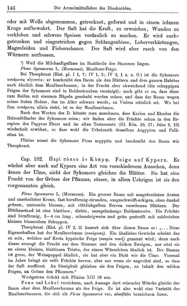 Heilpflanzen-Welt -- Die Welt der Heilpflanzen!