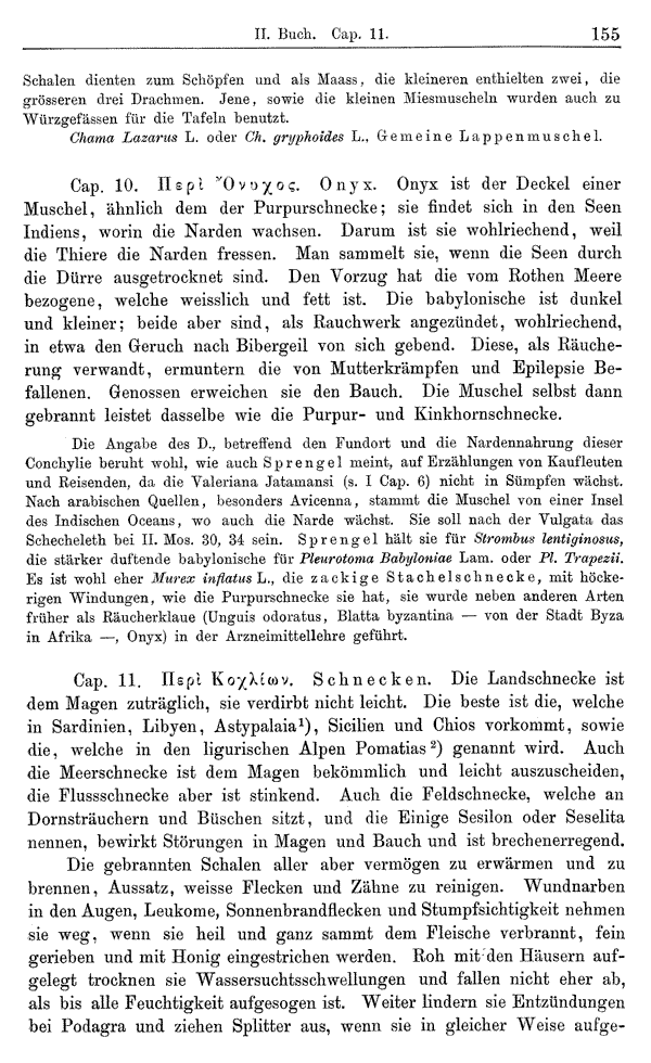 Heilpflanzen-Welt -- Die Welt der Heilpflanzen!