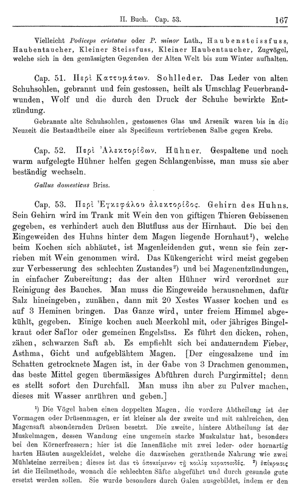 Heilpflanzen-Welt -- Die Welt der Heilpflanzen!