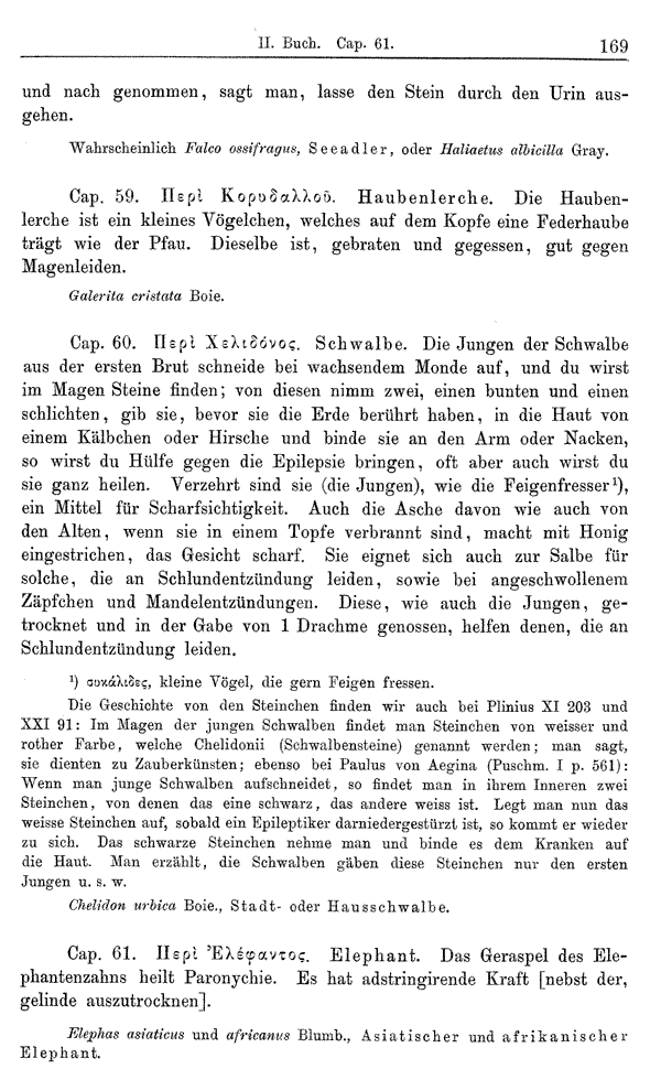 Heilpflanzen-Welt -- Die Welt der Heilpflanzen!