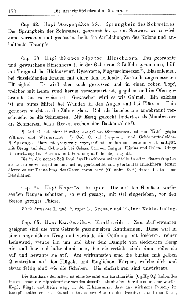 Heilpflanzen-Welt -- Die Welt der Heilpflanzen!