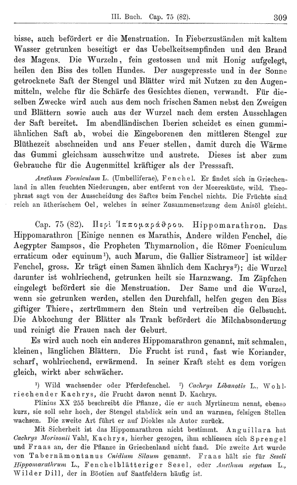 Heilpflanzen-Welt -- Die Welt der Heilpflanzen!