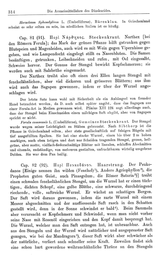 Heilpflanzen-Welt -- Die Welt der Heilpflanzen!