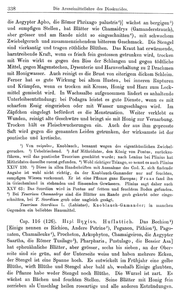 Heilpflanzen-Welt -- Die Welt der Heilpflanzen!