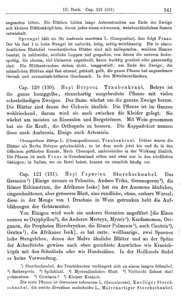 Heilpflanzen-Welt -- Die Welt der Heilpflanzen!