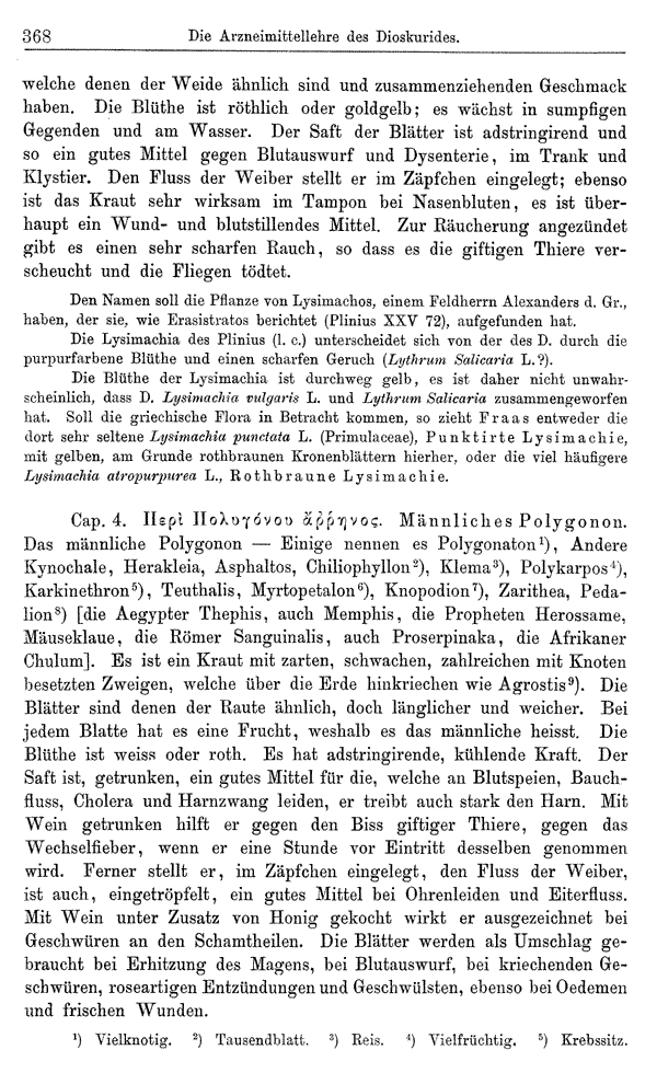 Heilpflanzen-Welt -- Die Welt der Heilpflanzen!