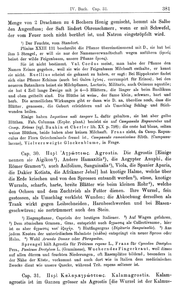 Heilpflanzen-Welt -- Die Welt der Heilpflanzen!