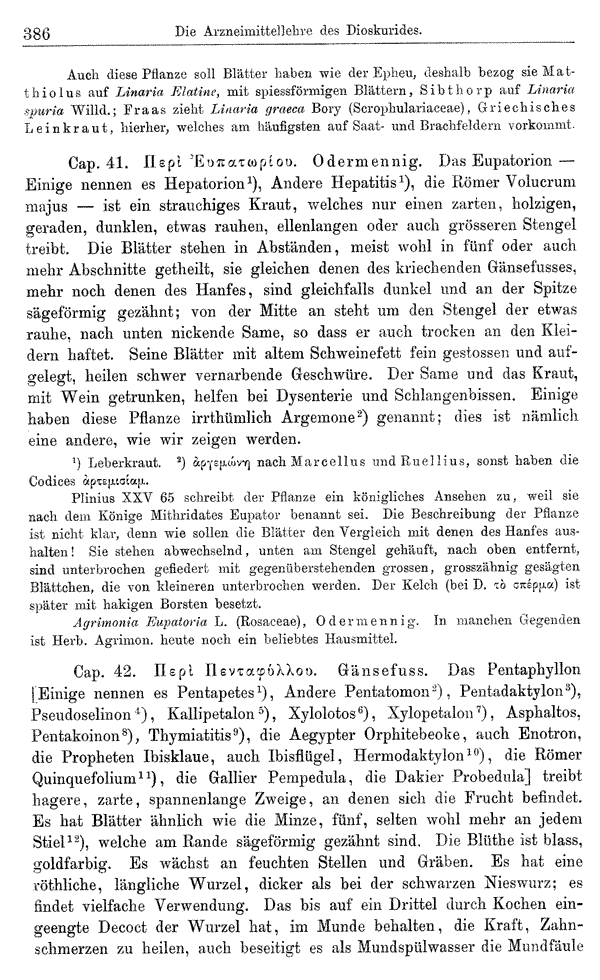Heilpflanzen-Welt -- Die Welt der Heilpflanzen!