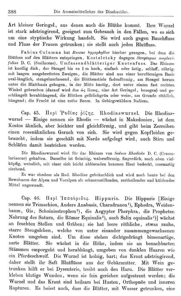 Heilpflanzen-Welt -- Die Welt der Heilpflanzen!