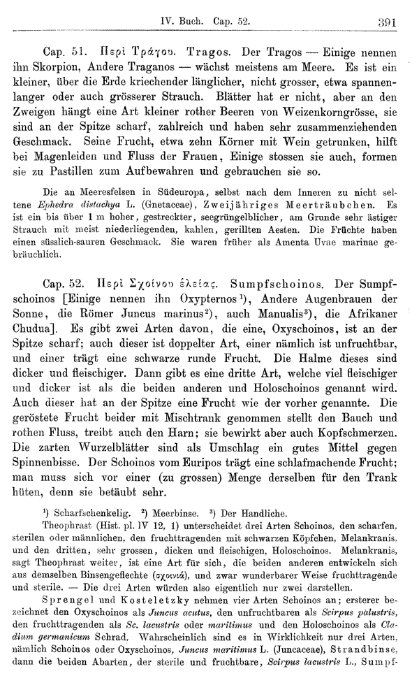 Heilpflanzen-Welt -- Die Welt der Heilpflanzen!