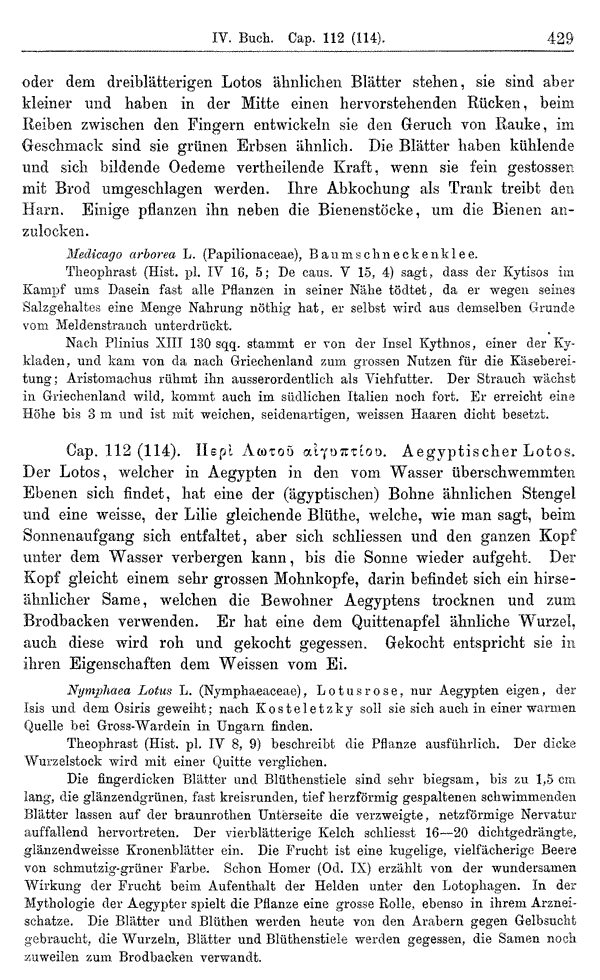 Heilpflanzen-Welt -- Die Welt der Heilpflanzen!