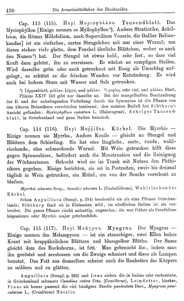 Heilpflanzen-Welt -- Die Welt der Heilpflanzen!