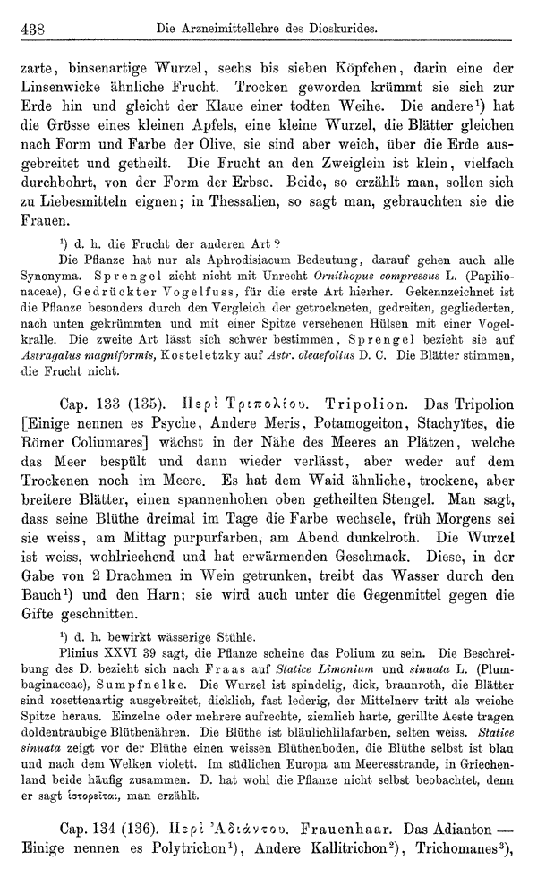 Heilpflanzen-Welt -- Die Welt der Heilpflanzen!