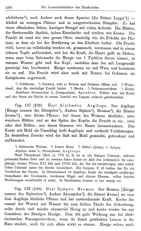 Heilpflanzen-Welt -- Die Welt der Heilpflanzen!