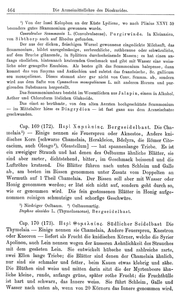 Heilpflanzen-Welt -- Die Welt der Heilpflanzen!